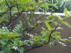 -好宜家眼视光·蔡司店(临汾店)