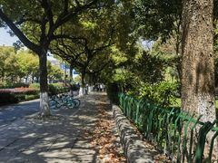 -运河游船(武林门码头)