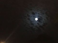-金穗园温泉酒店