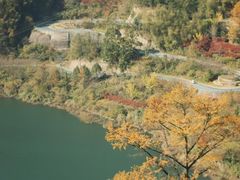 -四明山国家森林公园