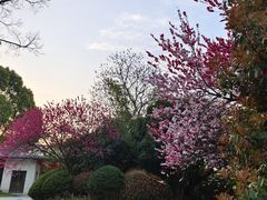 -桃花岛景观公园