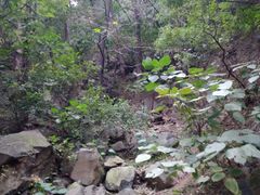 -香山公园-东宫门售票处