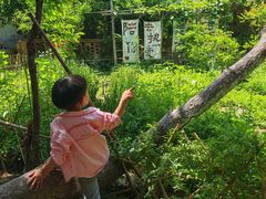 -小仙居·农家宴烤羊· 农庄