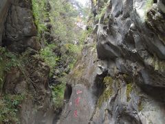 -黑河国家森林公园