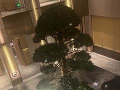 -外滩·云南人家(昆明旗舰店)