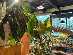-自由生长植物工作室(深港花卉中心店)