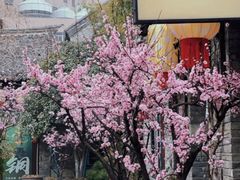 -乾隆行宫
