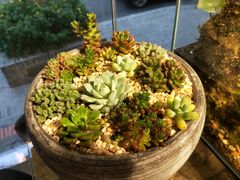 -甜心闲生传统手工冰粉(奎星楼店)