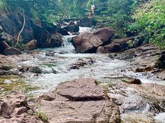 -广州白江湖森林公园