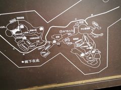 -南山植物园