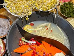 -阳阳老火锅(小南门店)