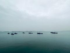 -鄱阳湖国家湿地公园