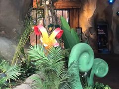 -杭州开元森泊度假乐园