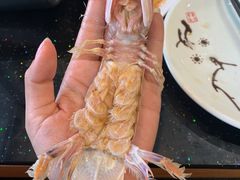 -胶东海鲜大排档(北太平庄店)