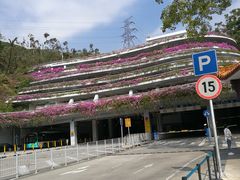-深圳仙湖植物园-停车场