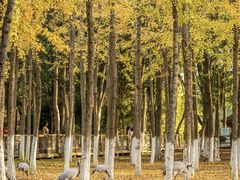 -艾溪湖湿地公园