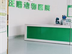 -汪喵宠物医院·骨科心脏影像·犬猫急重症ICU诊疗中心(成华分院)