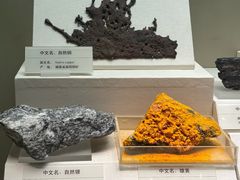 -天津自然博物馆