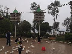 -南昌之星摩天轮