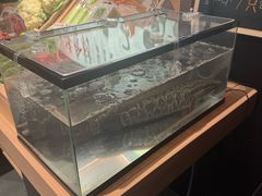 -太二酸菜鱼(石家庄万象城店)