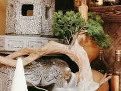 -日吉丸·鸟将军炭火融合酒馆(中央大街店)
