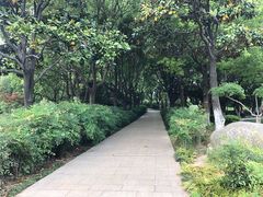 -昆山城市公园