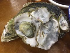 -蚝得喜海鲜(东城店)