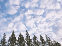 -前小桔亲子创意农场·草莓采摘·露营烧烤