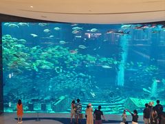 -亚特兰蒂斯-番红花海鲜自助餐厅·鲜活海鲜·小火锅