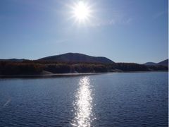 iphone_upload_pic-塞罕坝国家级自然保护区