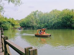 -吴淞炮台湾湿地森林公园烧烤区