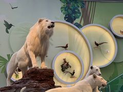 -陕西自然博物馆