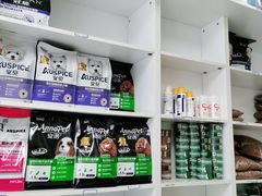-宠福鑫康馨动物医院·骨科·眼科