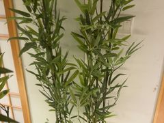 -君之悦·明镜台·SPA古禅足道(解放碑店)