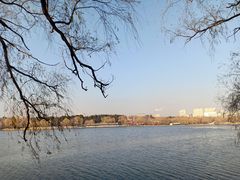 -长春市南湖公园