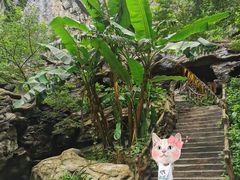 -苍山世界地质公园·石门关大峡谷