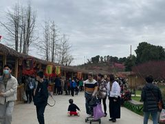 -秀丽东方