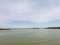 -盐城丹顶鹤湿地生态旅游区