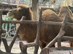 -长鹿旅游休博园