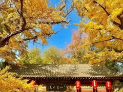 -晋祠公园