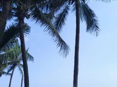 -海口喜来登酒店