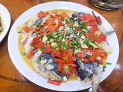 -全乐鱼馆·淳牌有机鱼直营店