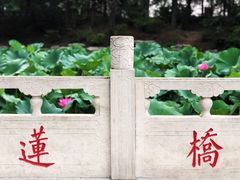 -近春园遗址