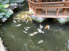 -南宫五洲植物乐园