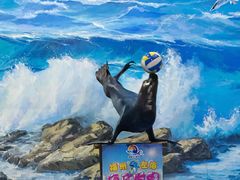 -左海海底世界