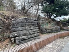 -王莽岭风景区