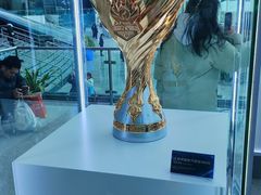 -深圳市宝安体育中心体育场