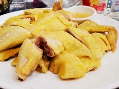 -金龙寨(龙城路店)