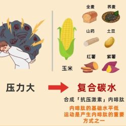 -Fundi张玉珊修身堂·indiba·BTL科技瘦身