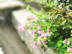 -海窝子古镇